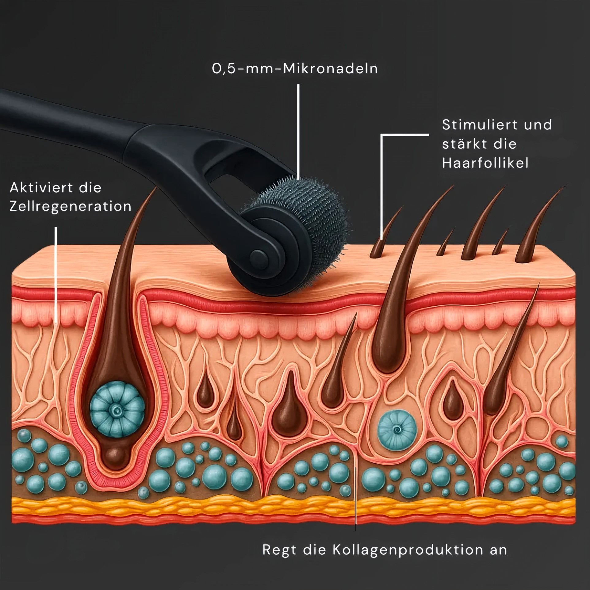 Titanium-Haarwachstumsroller