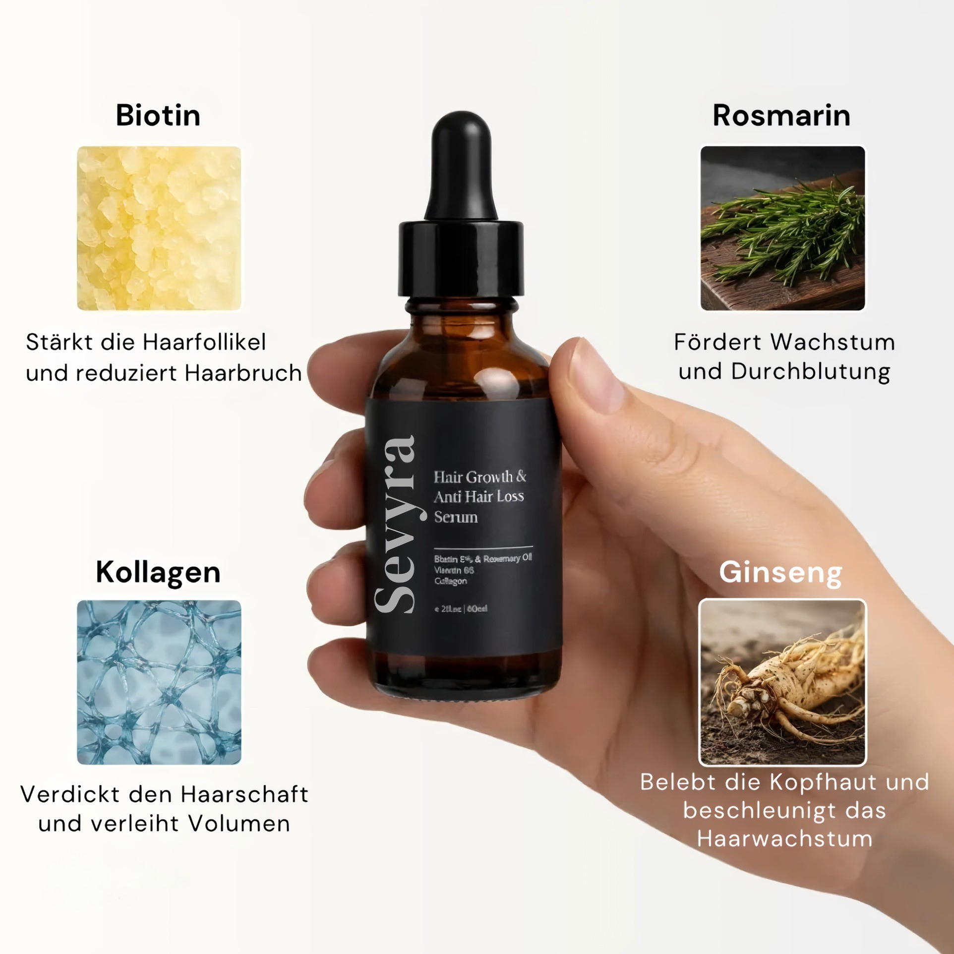 Das komplette System